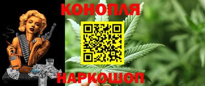 Альфа ПВП Кандалакша
