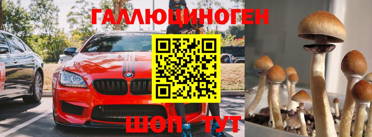 Псилоцибиновые грибы ЛСД Кунгур