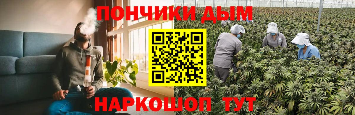 Бошки марихуана семена  Бошки Шишки THC 21%  Вход с VPN  Каннабис Amnesia  Кунгур 